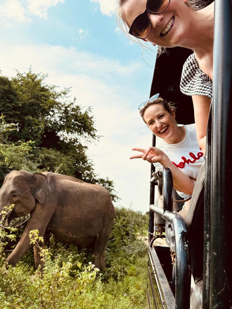 Placeholder: elephants at the Minneriya reservoir