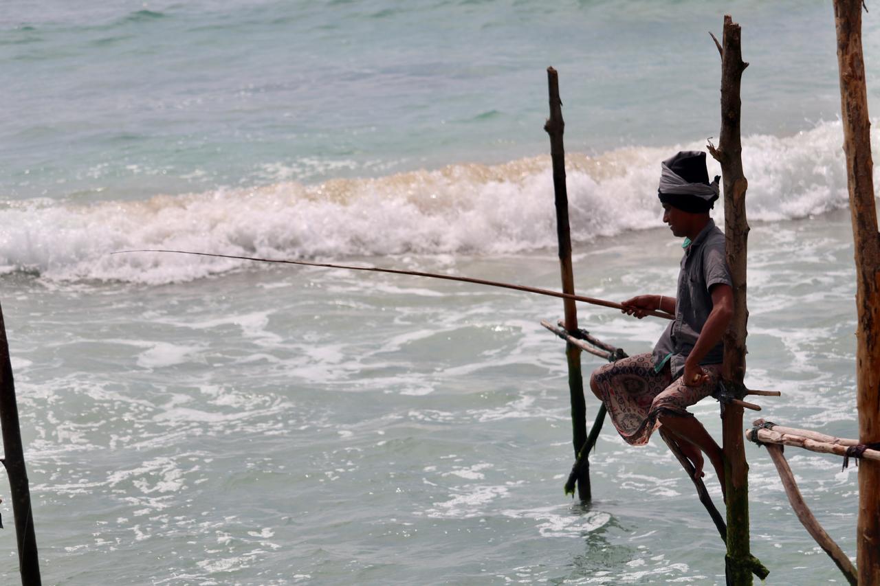 Placeholder for Weligama Bay Resort, south coast